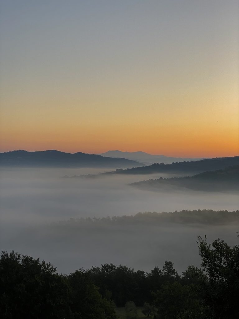 This image would suit The farm or The region section of the website